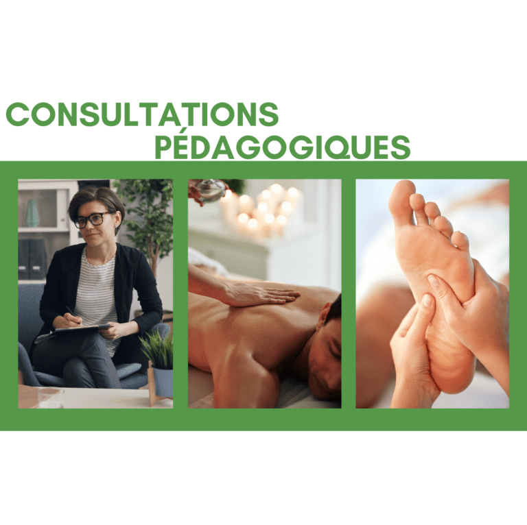 image consultations pedagogiques 2